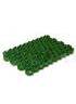 Газонная решетка Erfolg Green Parking